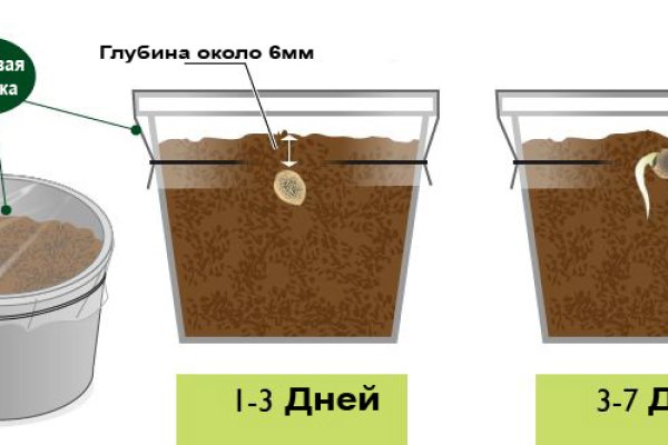 Сайт кракен тор