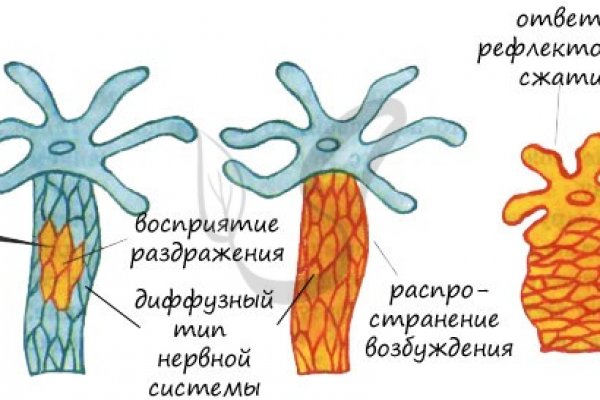 Кракен зеркало