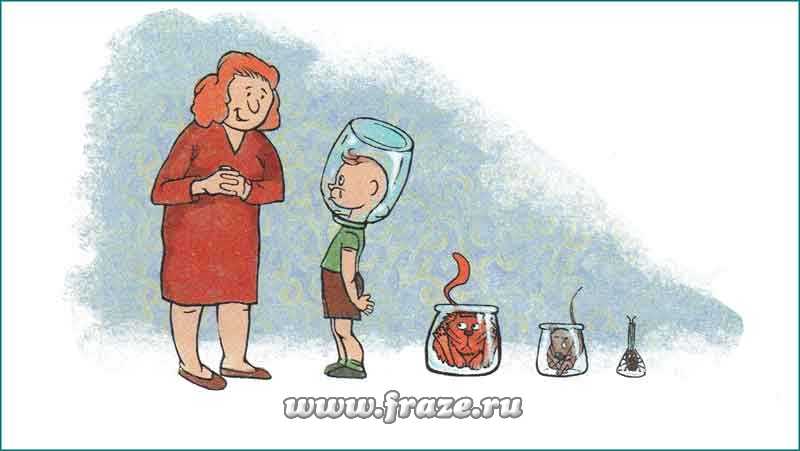 Оригинальные ссылки кракена