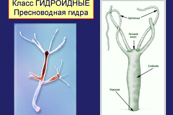 Kra44.at