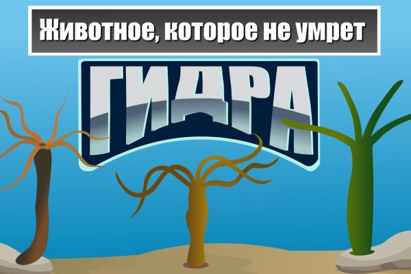 Кракен маркет супернет только через торг