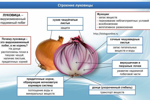 Кракен купить порошок
